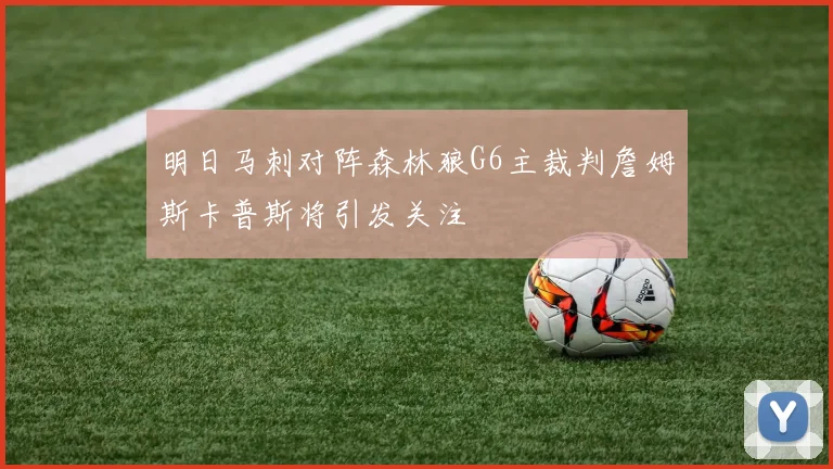 明日马刺对阵森林狼G6主裁判詹姆斯卡普斯将引发关注