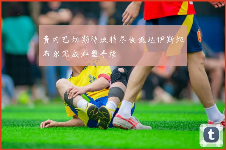 费内巴切期待坎特尽快抵达伊斯坦布尔完成加盟手续
